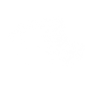 Hack the North